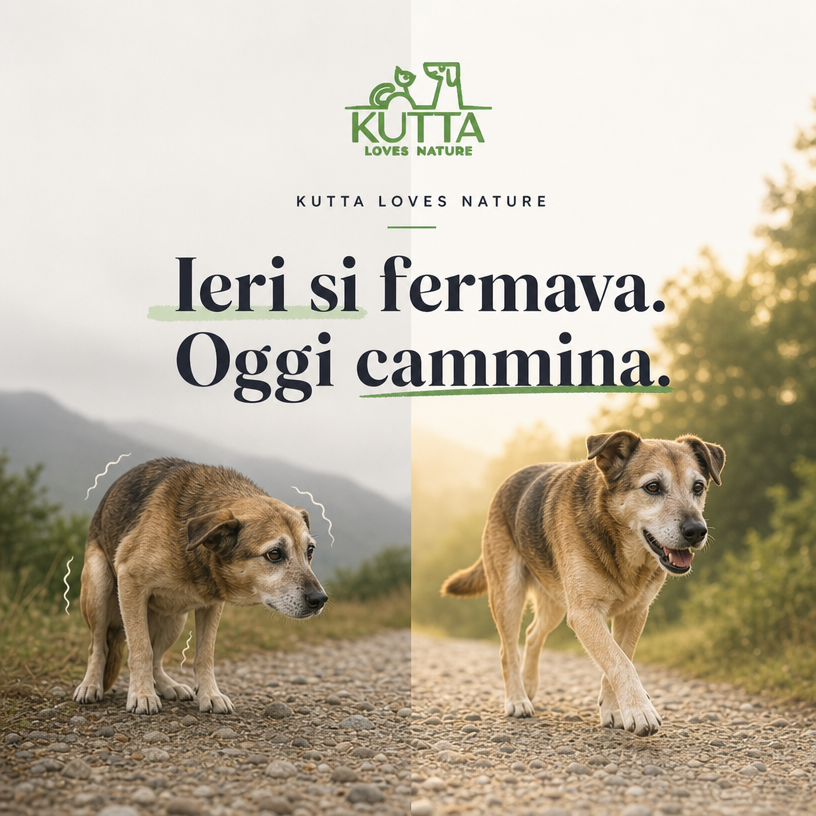 Balsamo Polpastrelli Kutta – Protettivo Cani e Gatti 30ml
