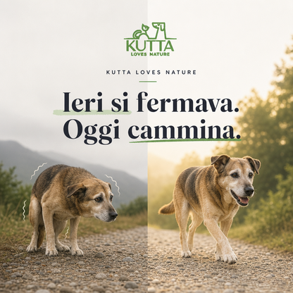 Kutta Pfotenbalsam – Schutz für Hunde und Katzen 30ml