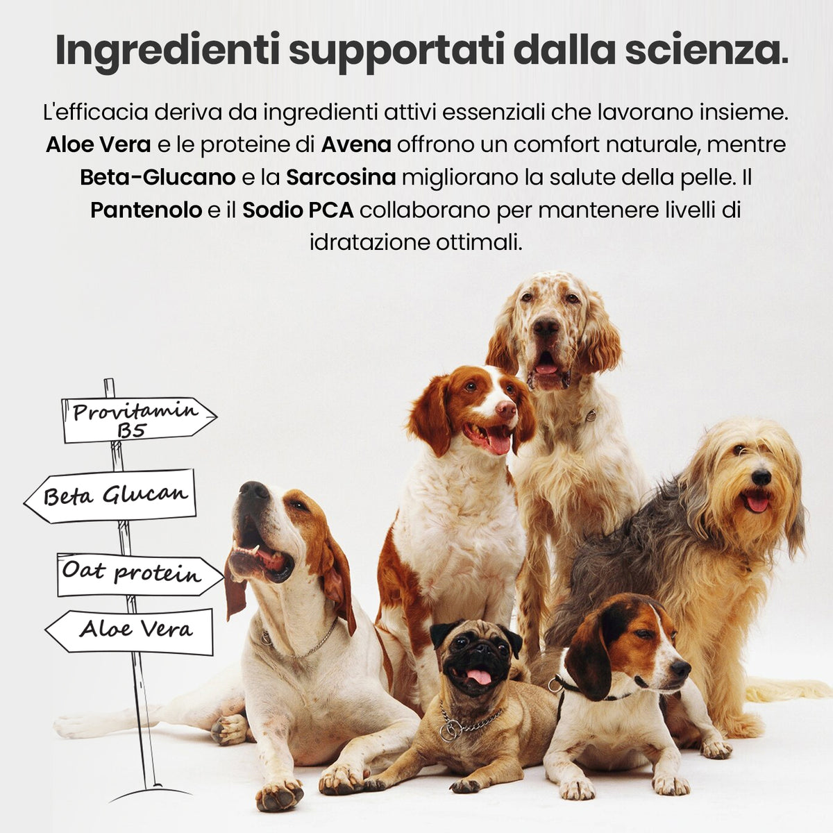 Shampoo antiprurito per cani Kutta per la cura della pelle