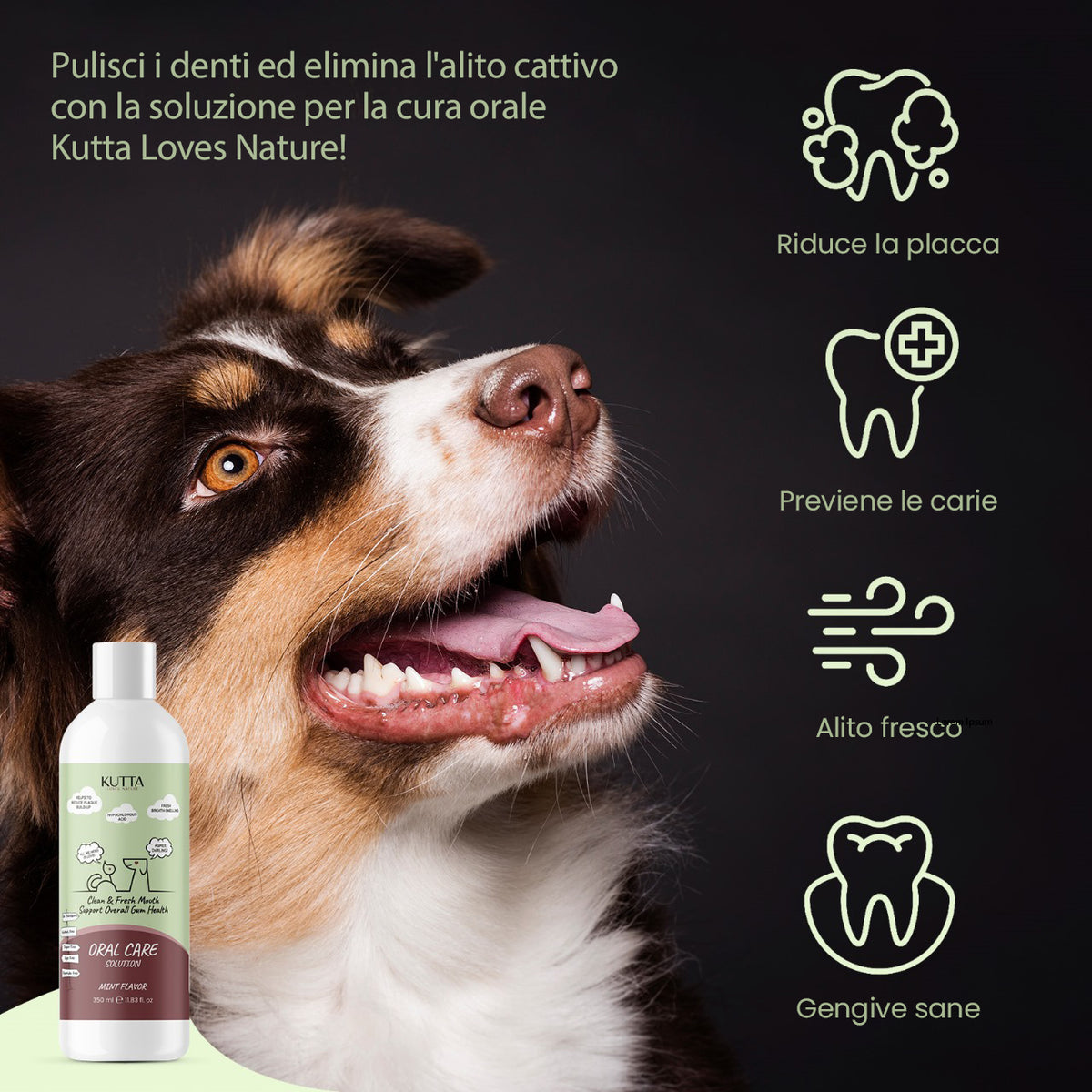 Kutta spray dentale per cani 350 ml